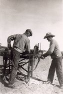 Ralph Carey and Bob Allborgh sawing wood, 1939